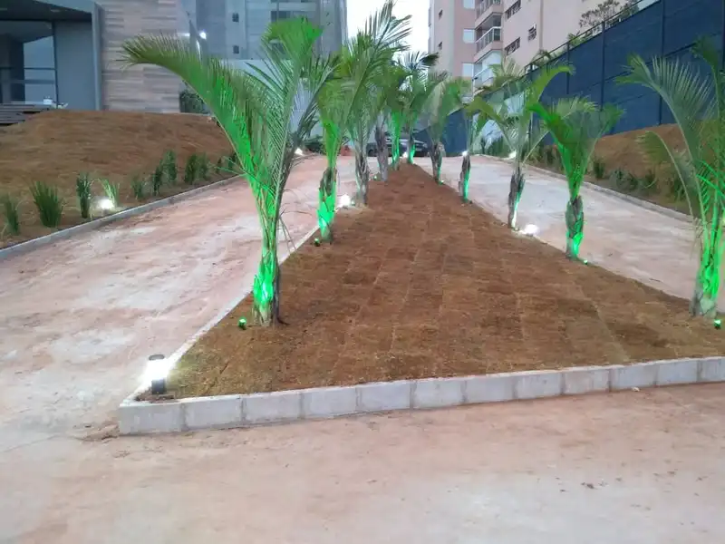 Hills